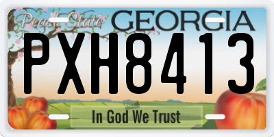 GA license plate PXH8413