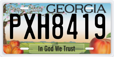GA license plate PXH8419