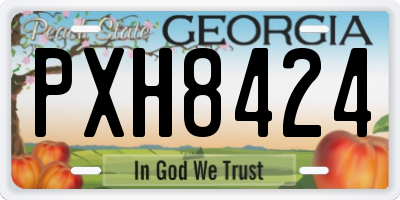 GA license plate PXH8424