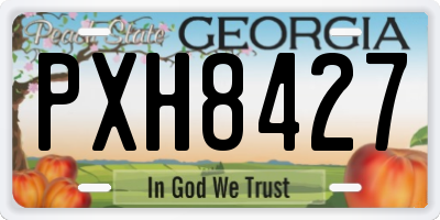 GA license plate PXH8427