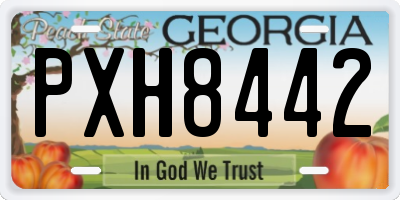GA license plate PXH8442