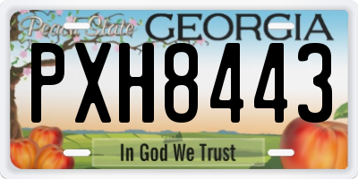 GA license plate PXH8443