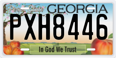 GA license plate PXH8446