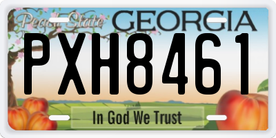 GA license plate PXH8461