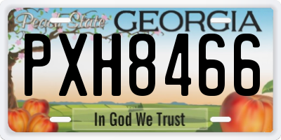 GA license plate PXH8466