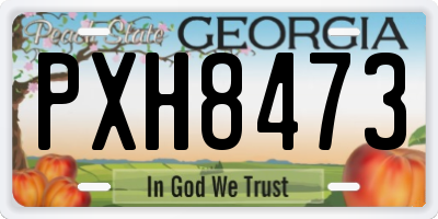 GA license plate PXH8473