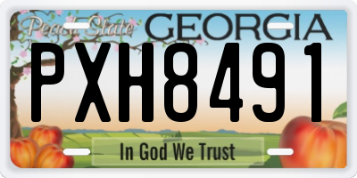 GA license plate PXH8491