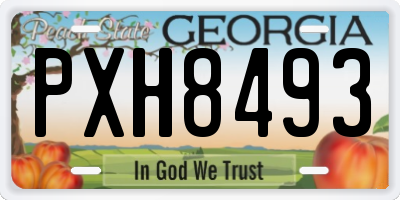 GA license plate PXH8493