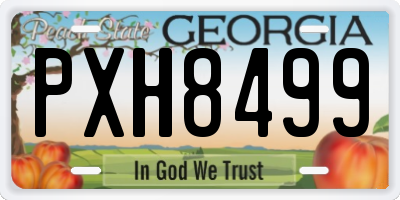 GA license plate PXH8499