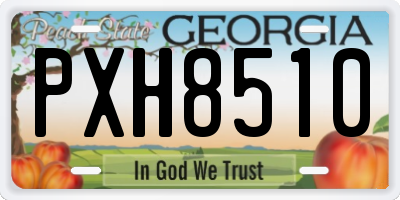 GA license plate PXH8510