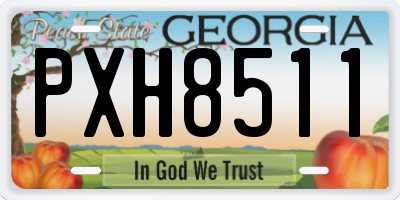 GA license plate PXH8511