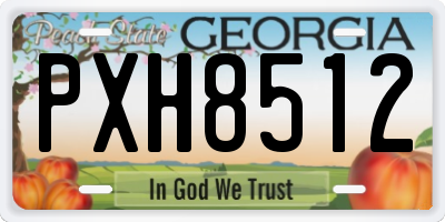 GA license plate PXH8512