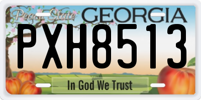 GA license plate PXH8513