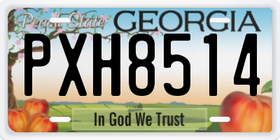 GA license plate PXH8514