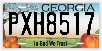 GA license plate PXH8517