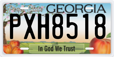 GA license plate PXH8518