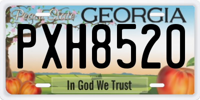 GA license plate PXH8520