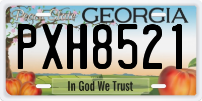 GA license plate PXH8521