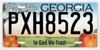 GA license plate PXH8523