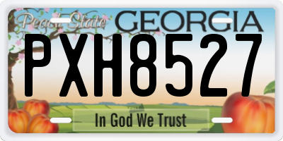 GA license plate PXH8527