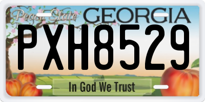 GA license plate PXH8529