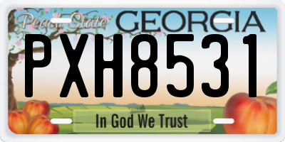 GA license plate PXH8531
