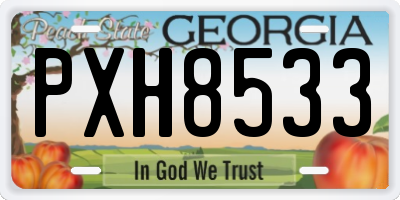 GA license plate PXH8533