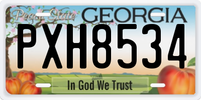 GA license plate PXH8534