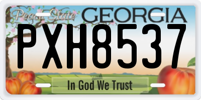 GA license plate PXH8537