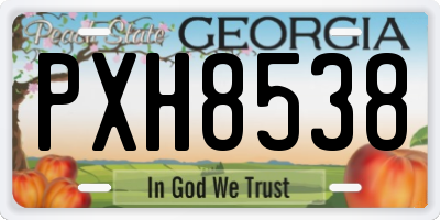 GA license plate PXH8538