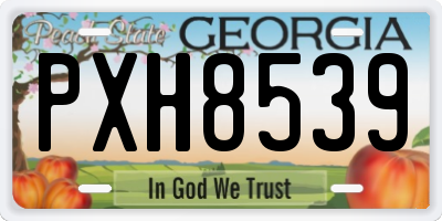 GA license plate PXH8539