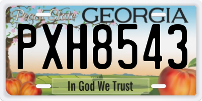 GA license plate PXH8543