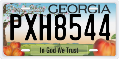 GA license plate PXH8544