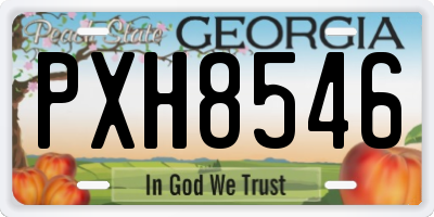 GA license plate PXH8546