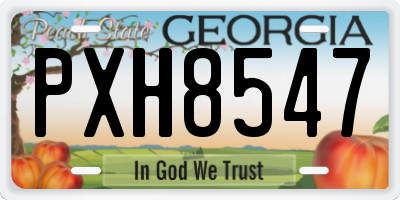 GA license plate PXH8547