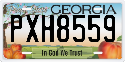 GA license plate PXH8559