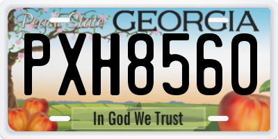 GA license plate PXH8560