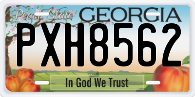 GA license plate PXH8562