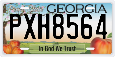 GA license plate PXH8564