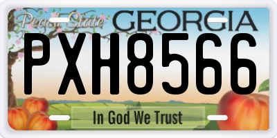 GA license plate PXH8566
