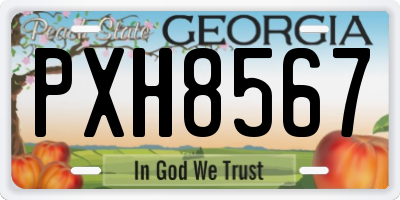 GA license plate PXH8567