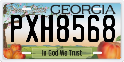 GA license plate PXH8568