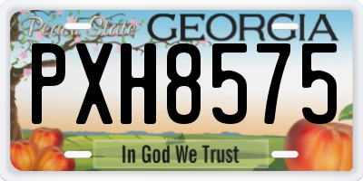 GA license plate PXH8575