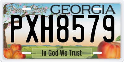 GA license plate PXH8579
