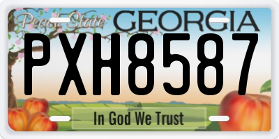GA license plate PXH8587