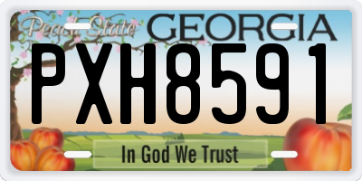 GA license plate PXH8591