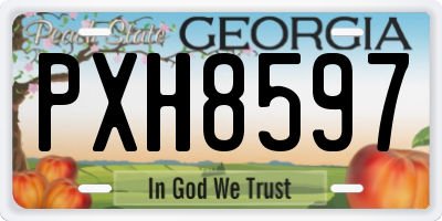 GA license plate PXH8597