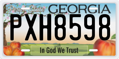 GA license plate PXH8598