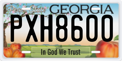 GA license plate PXH8600