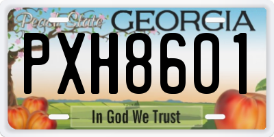 GA license plate PXH8601